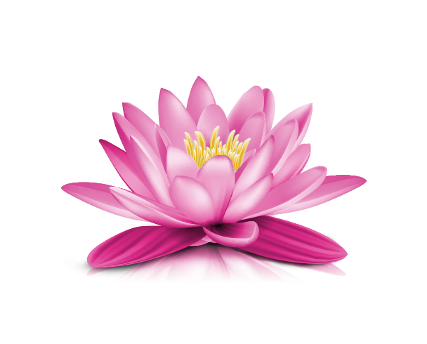 Water Lily Png Transparent Picture (plum, black, gray, white, silver)