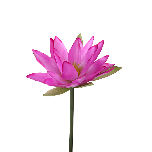 Water Lily Transparent Png (violet, silver, green, white)