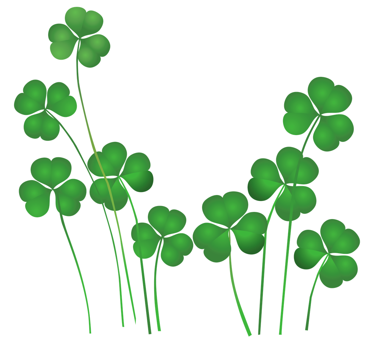 Watercolor Clover Png Transparent (black, green)