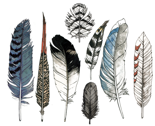 Watercolor Feather Png File (black, white)