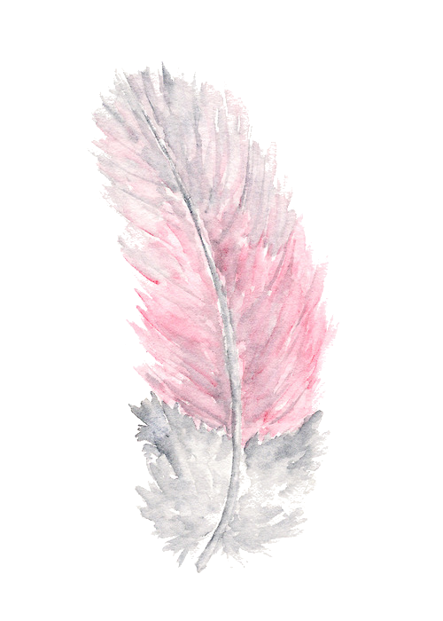 Watercolor Feather Png Free Download (white)