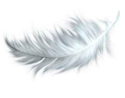 Watercolor Feather Png Hd (black, silver, lavender)