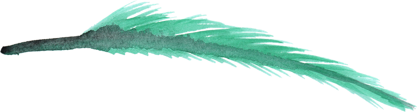 Watercolor Feather Png Transparent Hd Photo (mint, gray, black)