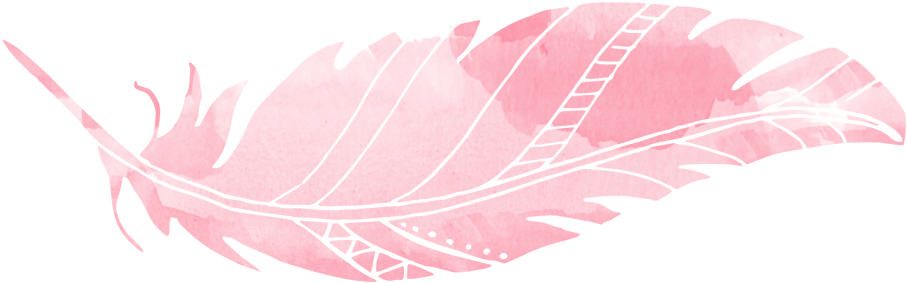 Watercolor Feather Png Transparent Image (black, salmon)