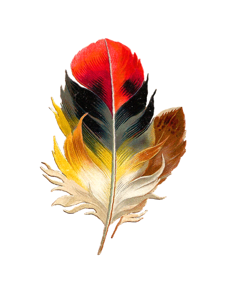 Watercolor Feather Png Transparent (black)