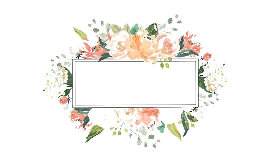 Watercolor Floral Flower Frame Png Pic (white)