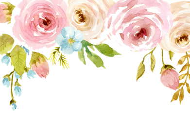 Watercolor Flowers Png Background (black, pink, beige, white)