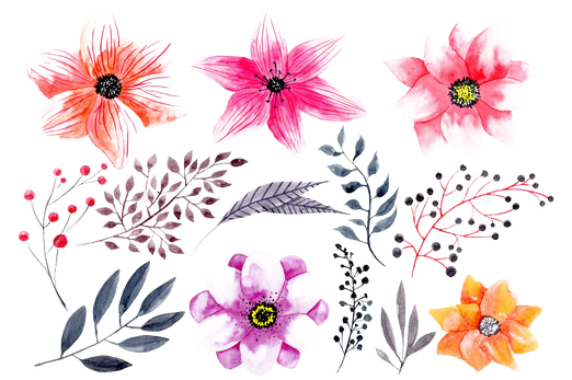 Watercolor Flowers Png Hd Photo (black)