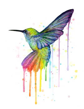 Watercolor Hummingbird Transparent Background (black)