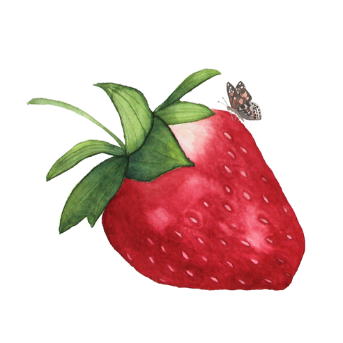 Watercolor Strawberry Png Hd (black, lavender, white)