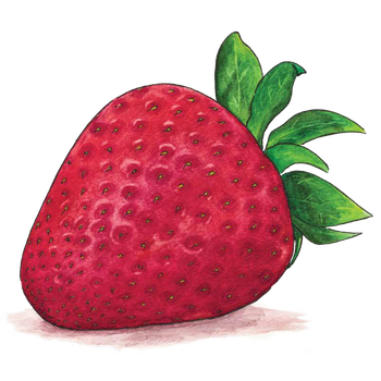 Watercolor Strawberry Png Photo (maroon, black, chocolate)