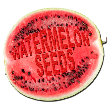 Watermelon Png Hd Photo (black, red, salmon)