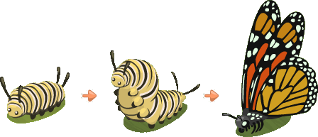 Caterpillar Png Image (white, orange, olive, chocolate)