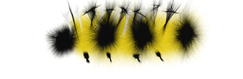 Caterpillar Transparent Png (black)