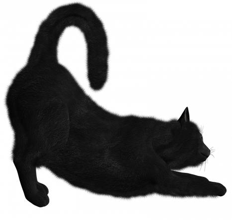 Cats Download Png Image (black)