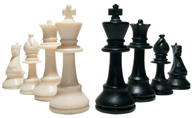 Battle Chess Pieces Transparent Background (black)