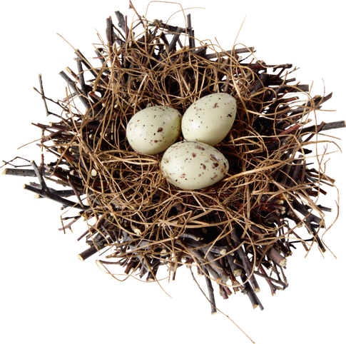 Natural Bird Nest Transparent Png (black)