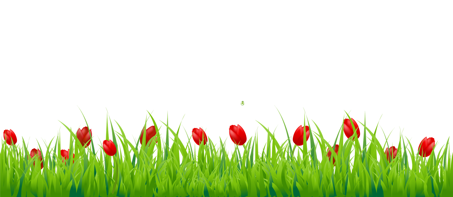 Natural Grass Png Clipart (black, olive, green)