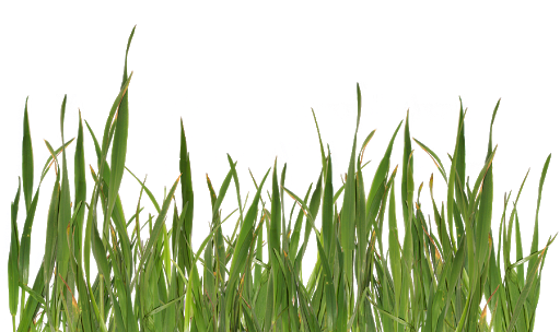 Natural Grass Png File (indigo, black, white)