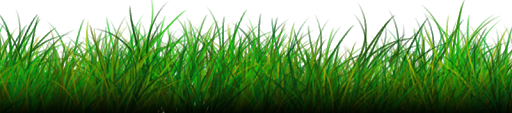 Natural Grass Png Image (black)