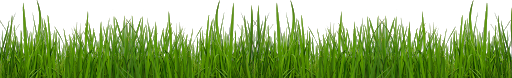 Natural Grass Png Photos (black, olive, green)