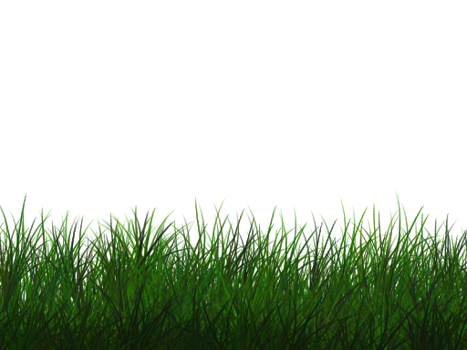 Natural Grass Png Transparent Image (black, green)