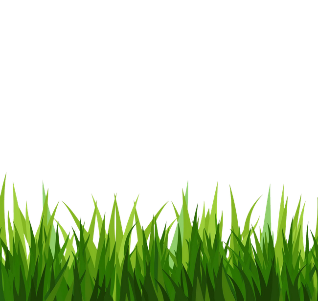 Natural Grass Vector Png File (black, green)