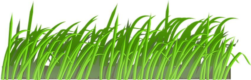 Natural Grass Vector Png Image (olive, silver, white)