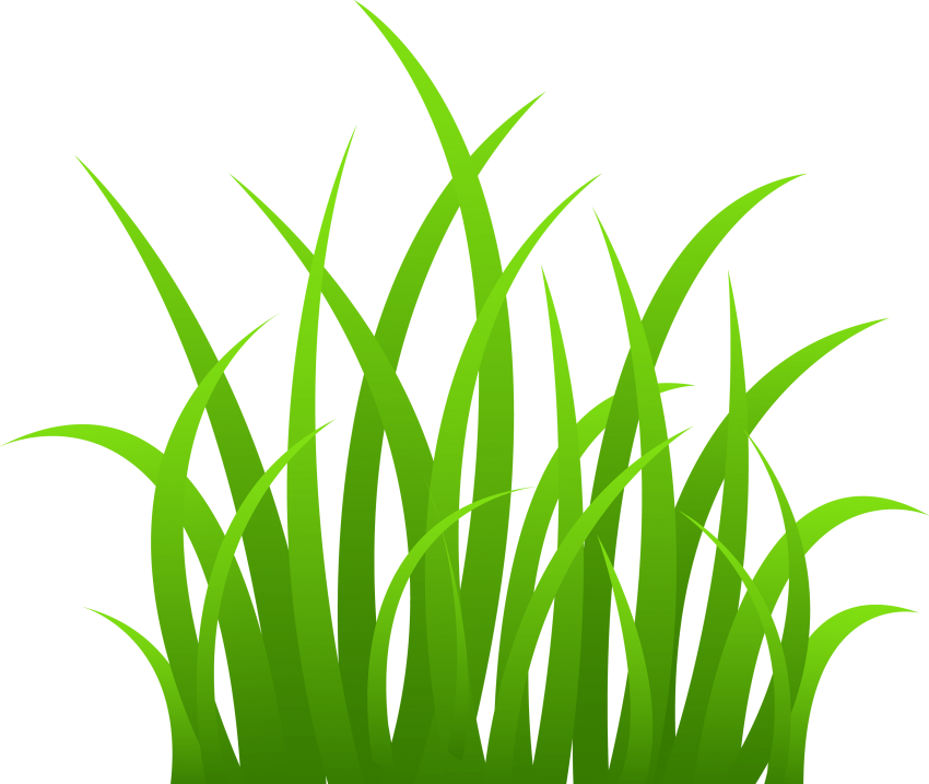 Natural Grass Vector Png Transparent Image (green, olive, white)