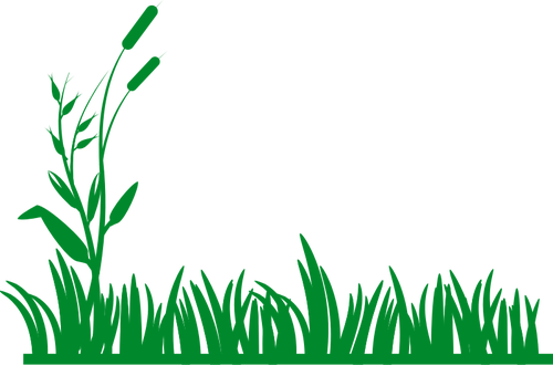 Natural Grass Vector Transparent Background (black, green)