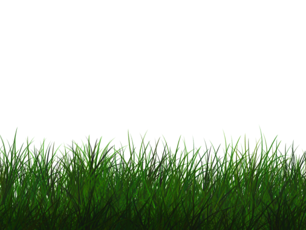 Natural Grass Vector Transparent Png (black, green)