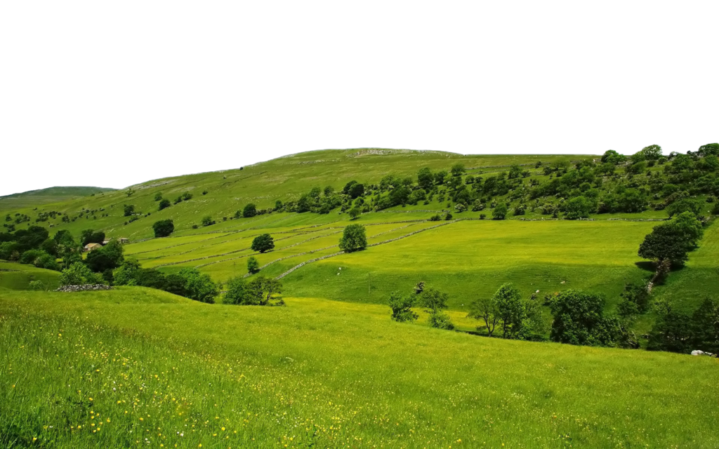 Nature Free Download Png (black, green, olive)