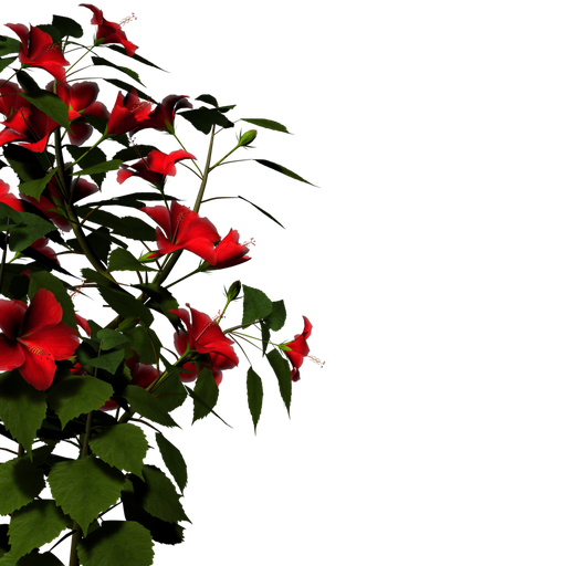 Nature Png Hd (black)