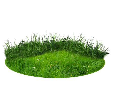 Nature Transparent Background (green, black)