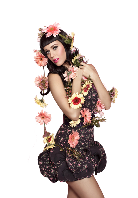 Katy Perry Makeup Png File (black)