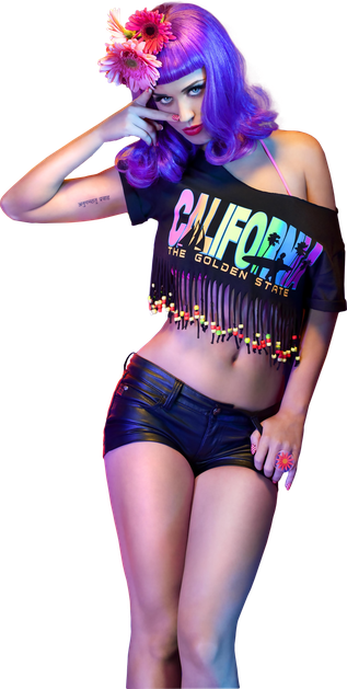 Katy Perry Purple Hair Transparent Png (silver, black)