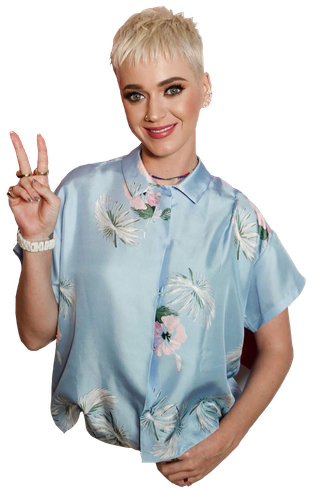 Katy Perry Short Hair Png Image (silver, black)