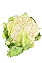 Cauliflower Png File (black, gray, beige, lavender)