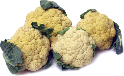 Cauliflower Png Image Free Download (black)