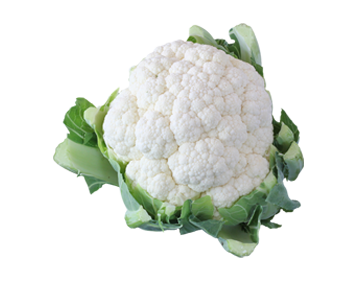 Cauliflower (white, beige, gray, olive, lavender)