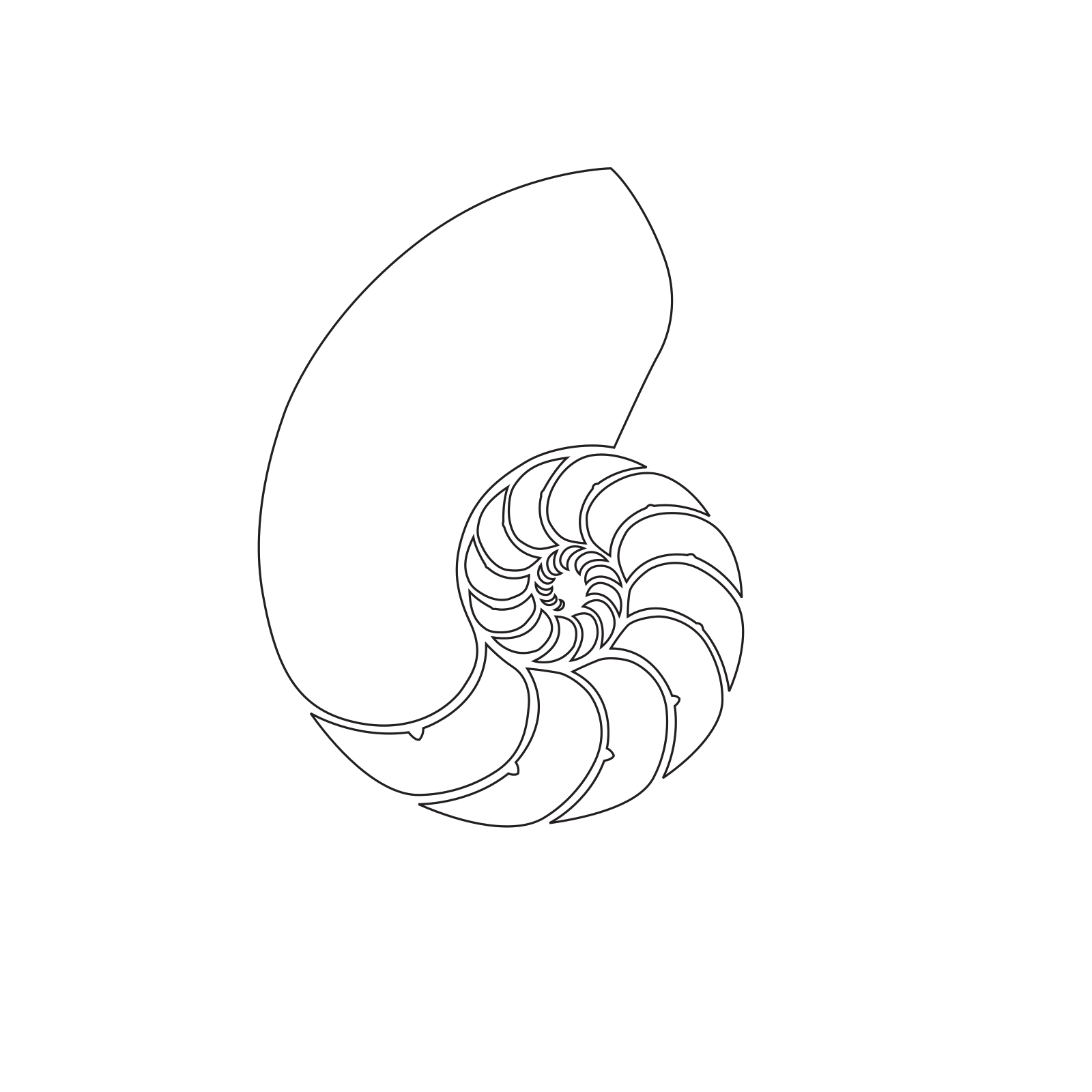 Nautilidae Png Hd (black)