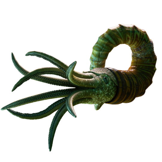 Nautiloid Transparent Png (black)