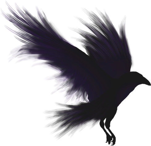 Raven Bird Png Pic (black)