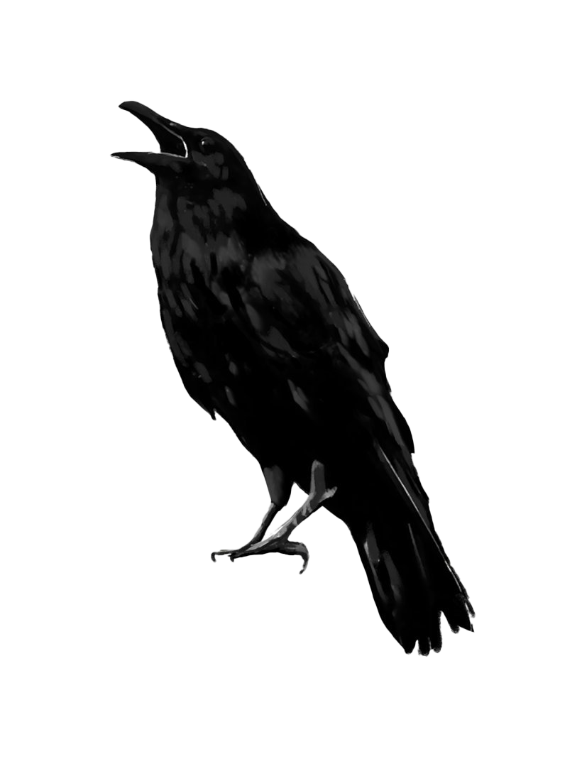 Raven Bird Png Transparent Image (black, white)