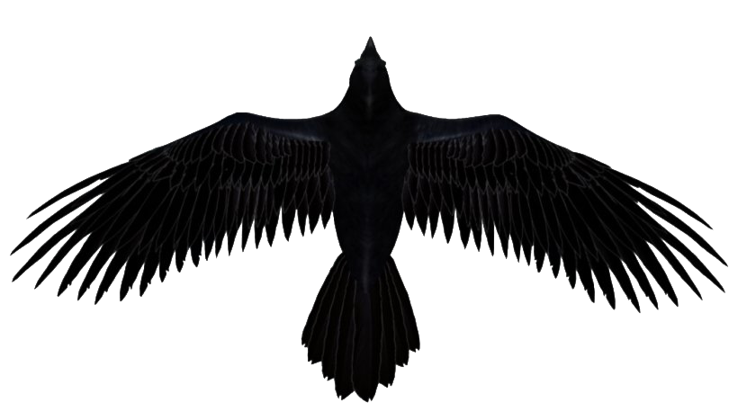 Raven Png Photos (black, white)