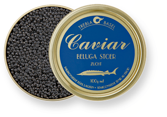 Caviar Png File (black, white, yellow, teal)