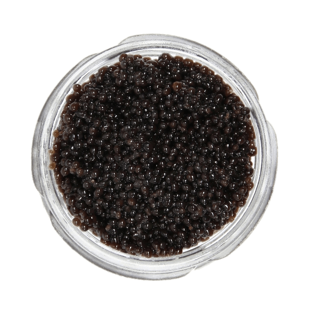 Caviar Png Photo (black, gray)