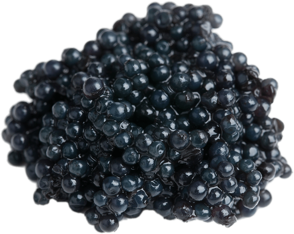 Caviar Png (black)