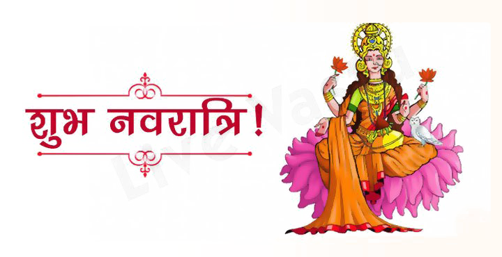 Navratri Transparent Png (white)