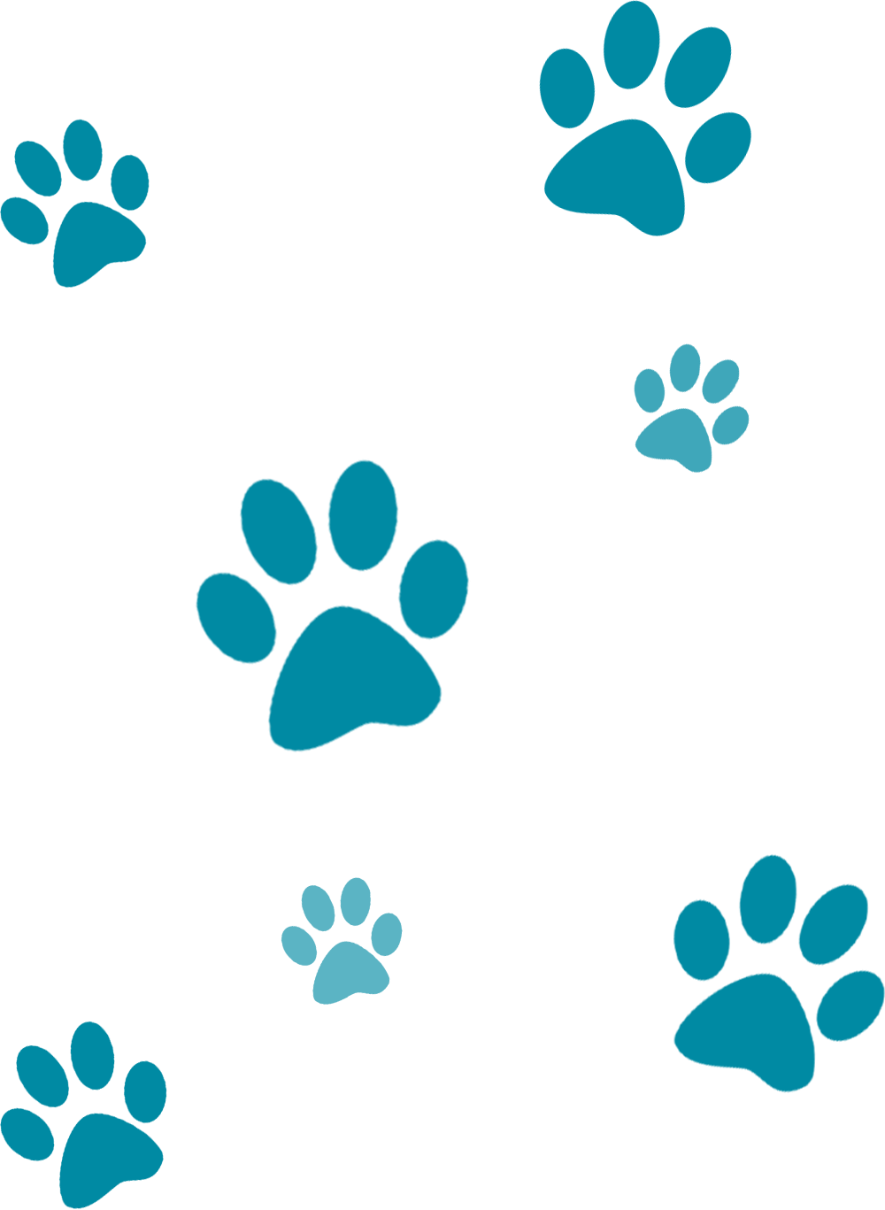 Paw Png File (white, teal)